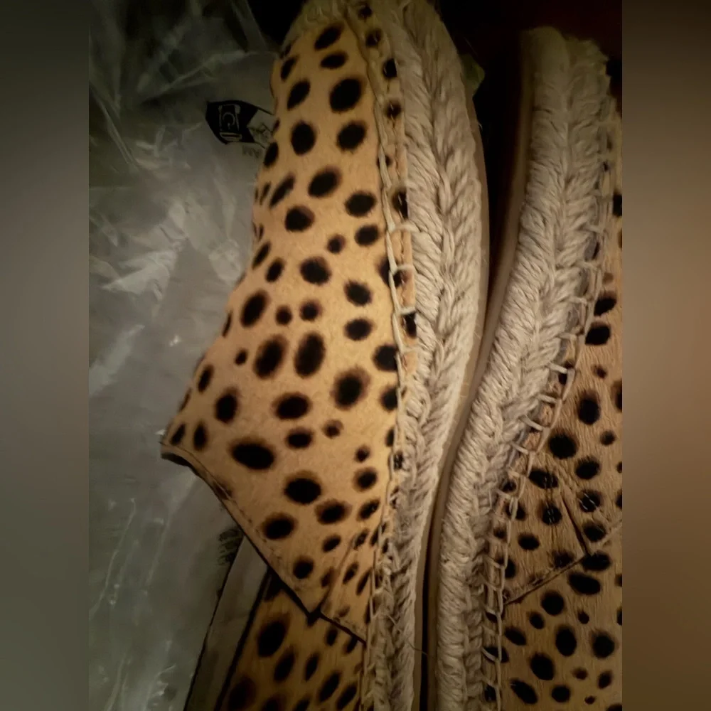 Converse sam edelman
